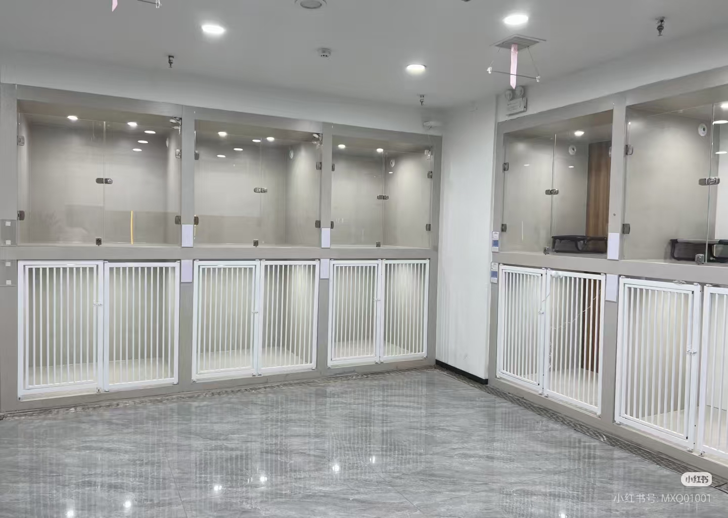 宠物寄养环境展示