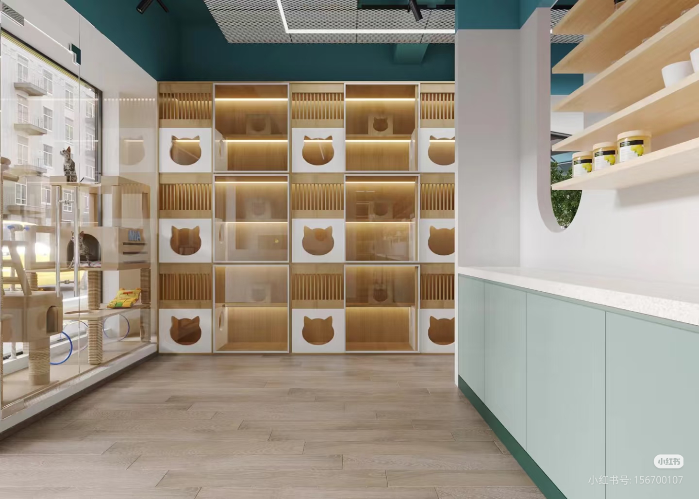 宠物寄养环境展示